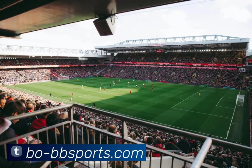 App Interface Preview